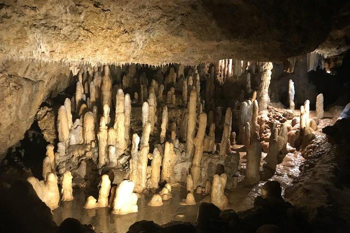 Barbados Heldags Private Tour