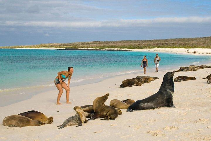 4-dags Galapagos Land Tour: San Cristobal og Santa Cruz Island