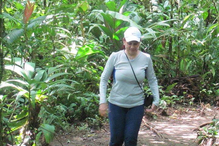 Rundturstransporttjänst till Río Celeste nationalpark från La Fortuna