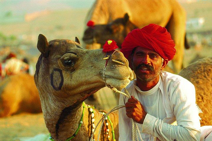 16 - Tour di un giorno del Rajasthan reale e scoperta di Agra da Delhi