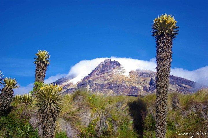 Trekking dans le parc naturel national de Los Nevados