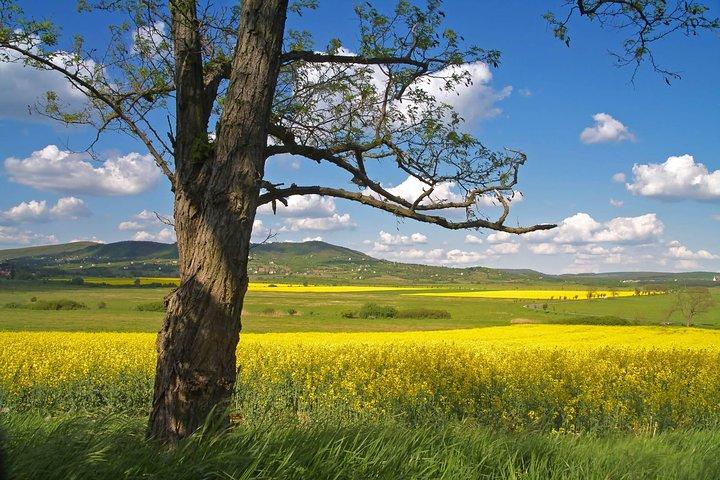 Budapest-Wien One-Way-Sightseeing-Transfer