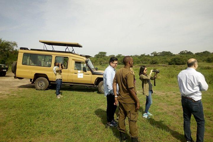 2 giorni Akagera Wildlife Safari (ritiro e riconsegna)
