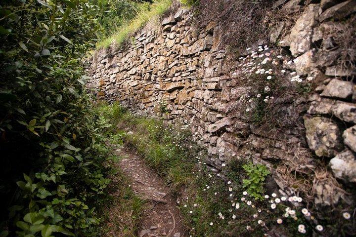 Lake Como cruise & Castle hike from Bellagio