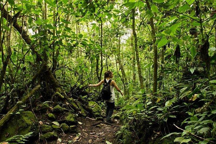 Chicaque National Park
