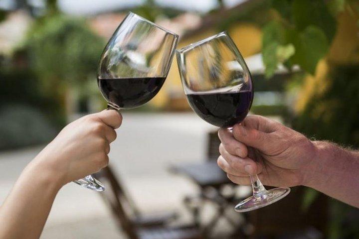 Cata de vinos: tour privado de medio día
