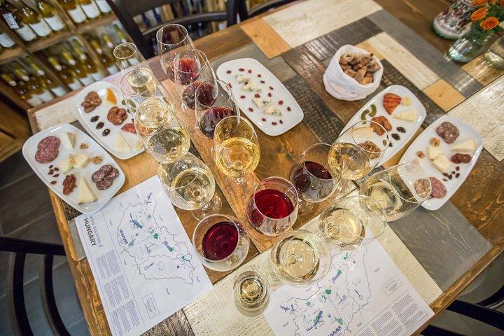 Dégustation de vin, fromage et charcuterie à Budapest
