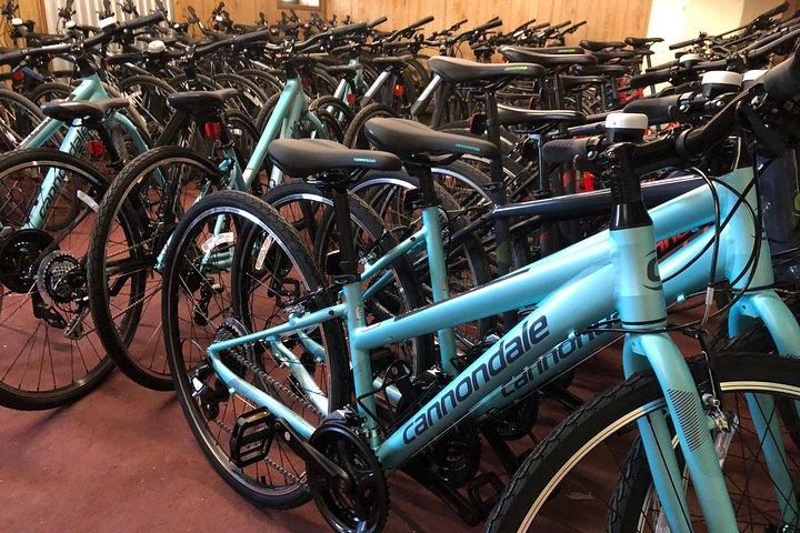 Visite à vélo en petit groupe des quartiers de Brooklyn