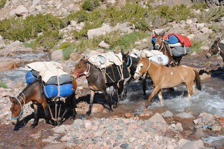 Cabalgata Cruce de Los Andes Cruce Sanmartiniano