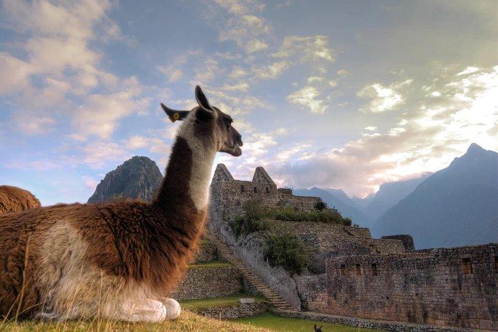 Servicio Privado de Machu Picchu