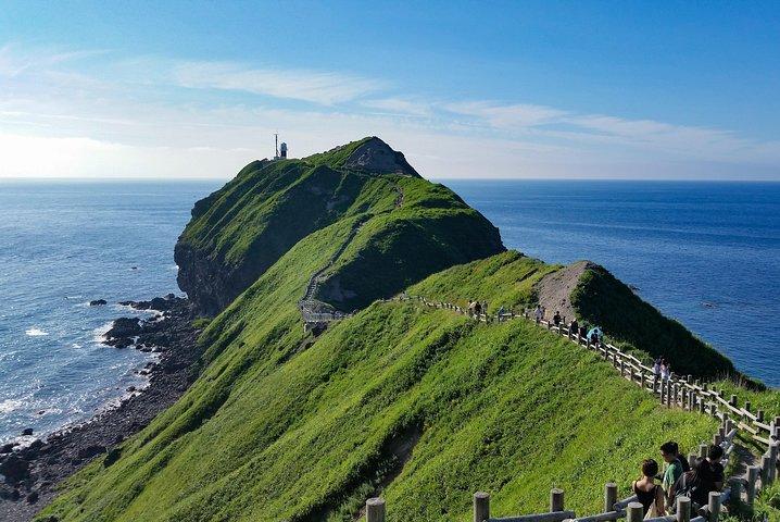 SkyExpress: Shakotan Peninsula Skræddersyet Private Day Tour (op til 8 passagerer)
