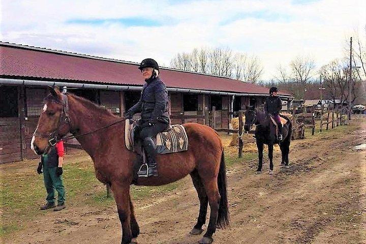 Privates Reiten auf dem Land und Mittagessen mit Transport