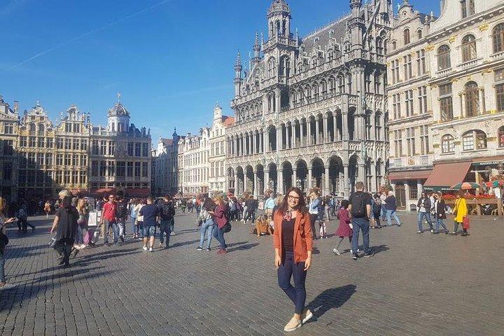 Bruxelles: Privat bytur med bil