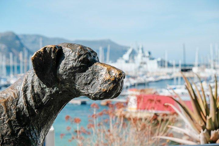 Visite privée du meilleur de la péninsule du Cap