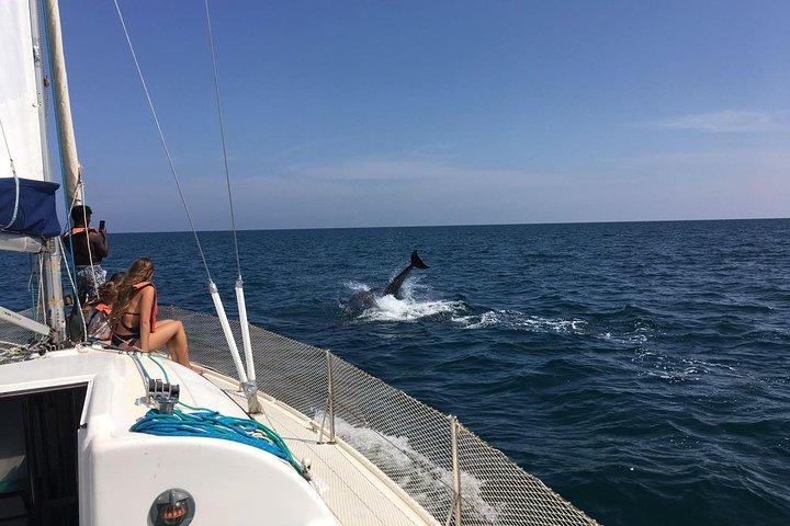 Ria Formosa Excursão de meio dia