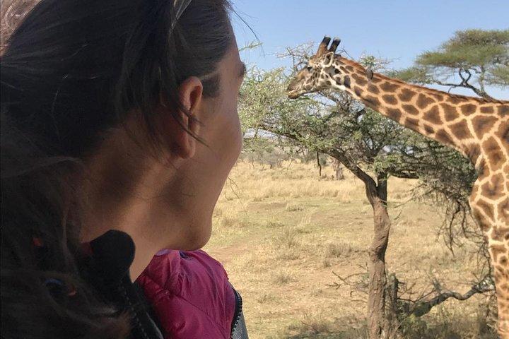 3 dagen safari naar Tarangire, Lake Manyara en Ngorongoro-krater