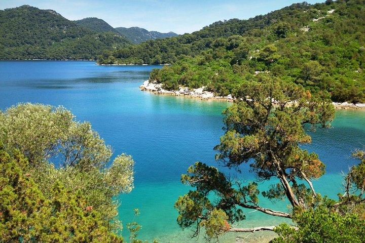 Mljet Island Private Tour med Fisher 20 Speedboat