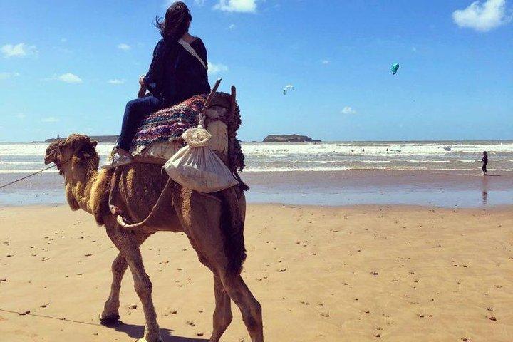 Dagstur fra Marrakech til Essaouira