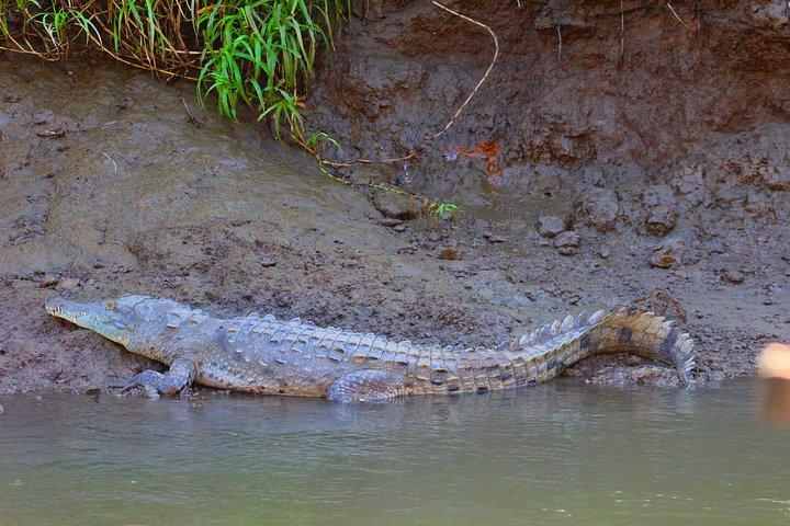 Palo Verde RiverRide von Guanacaste
