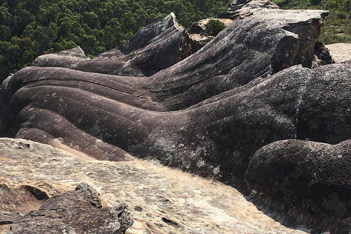 グレーター・ブルー・マウンテンズの世界遺産 - 一晩のプライベートワイルドライフサファリ