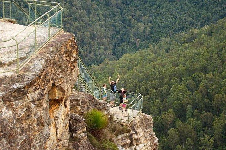 グレーター・ブルー・マウンテンズの内部世界遺産 - 野生動物サファリ一晩