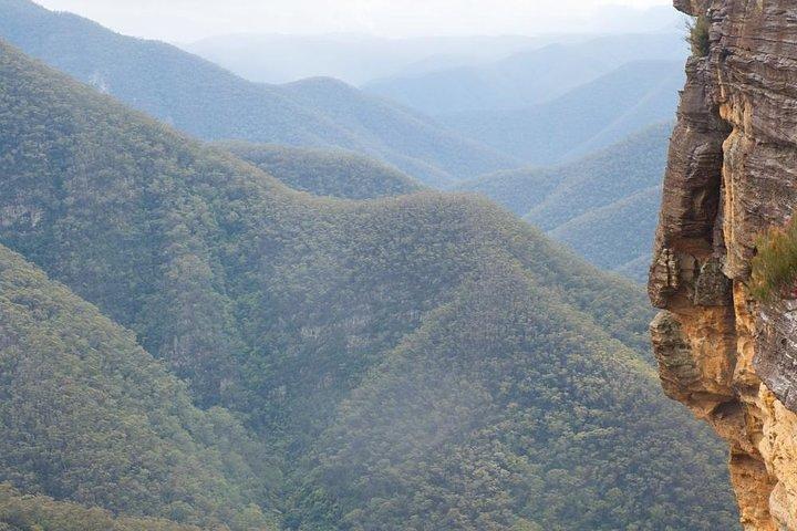 グレーター・ブルー・マウンテンズの内部世界遺産 - 野生動物サファリ一晩