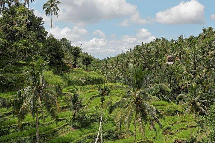 Bali Unique 2 Days Tour Packages