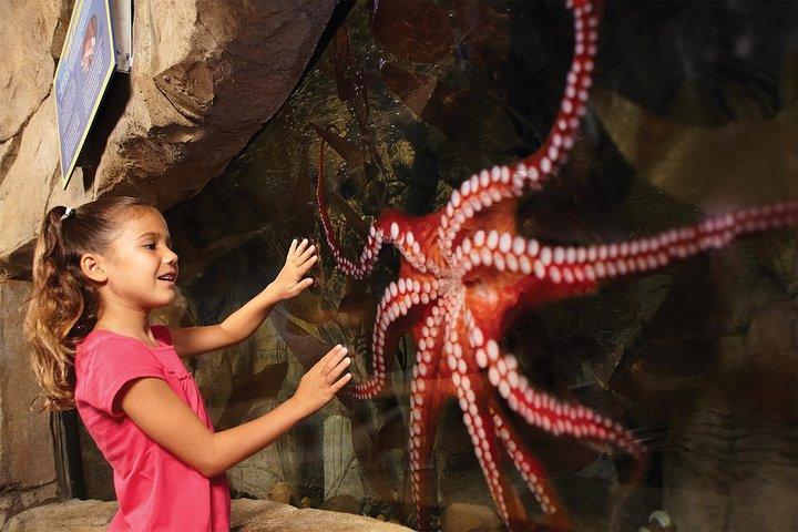 SEA LIFE Aquarium サンアントニオ入場券