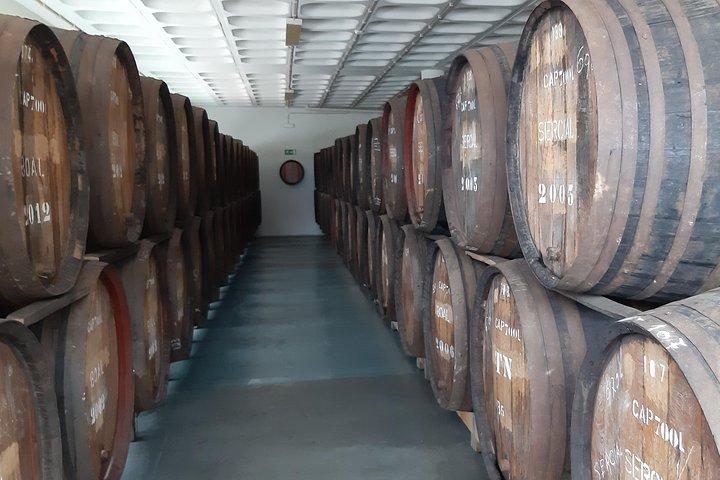 Madeira: Privat halvdags vinprovningstur