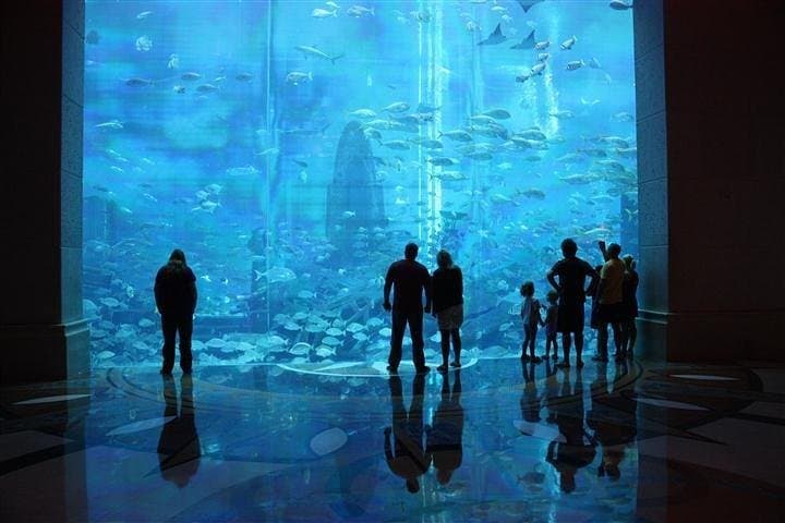 Atlantis Lost-Chamber Aquarium Dubai