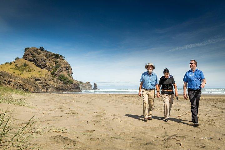 Private Auckland West Coast & Rainforest Tagestour.