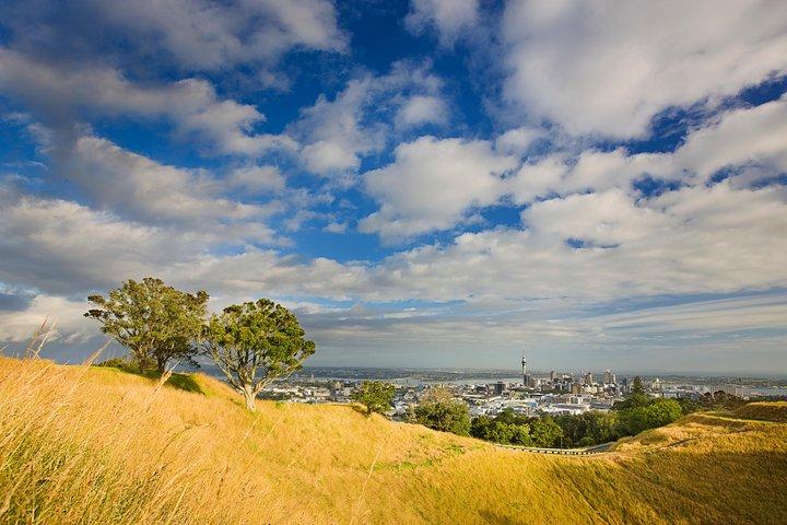 Excursion privée d'une demi-journée à Auckland