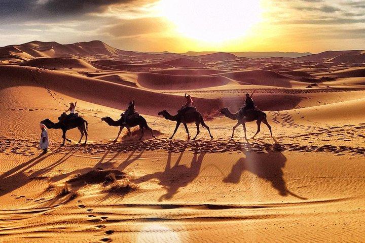 4-tägiger Ausflug von FEZ nach MARRAKECH und 2 Übernachtungen in MERZOUGA