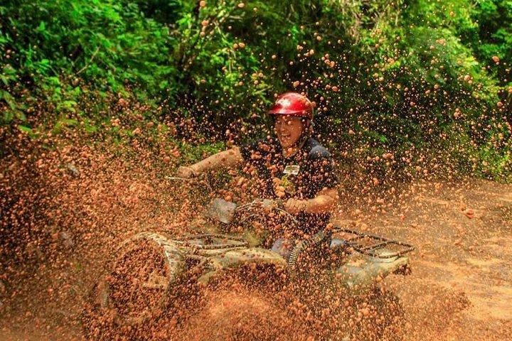 セノーテの水泳、ジップライン、交通機関、昼食付きの ATV ツアー