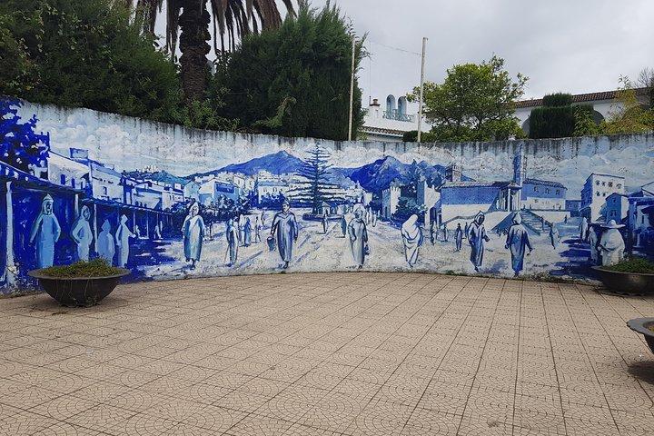 Excursión Fez a Chefchaouen 1 día.