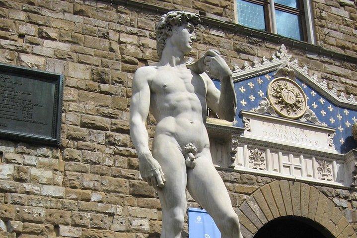 Spring over linjen: Firenzes Accademia Galleri Prioritet indgangsbillet