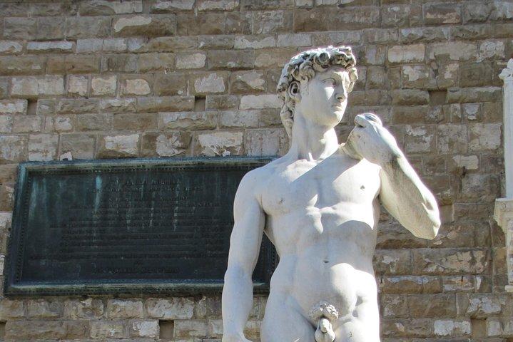 Spring over linjen: Firenzes Accademia Galleri Prioritet indgangsbillet