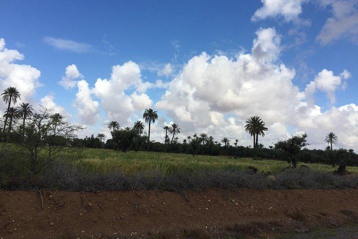 2 Stunden QUAD RADFAHREN in der Palmenoase (Palmerie) MARRAKECH