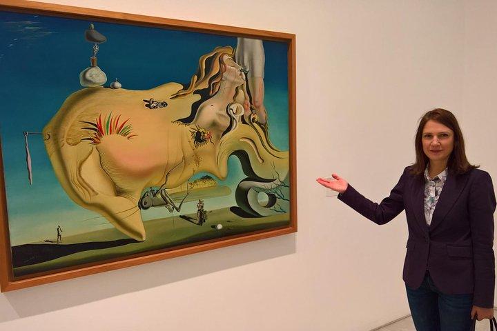 Visite privée du musée Reina Sofia