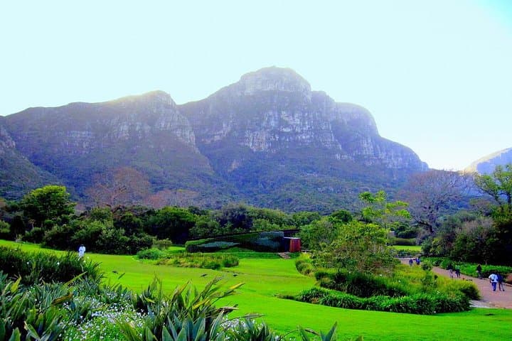 Private Cape Peninsula + Kirstenbosch Garden Full Day Guided Tour