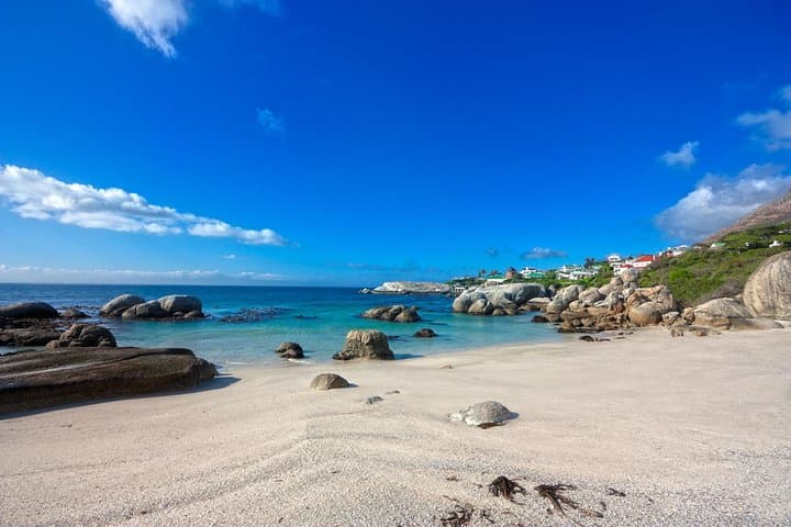 Private Cape Peninsula + Kirstenbosch Garden Full Day Guided Tour