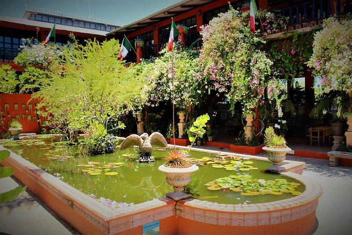 プエルトバジャルタのバヤルタ植物園とテキーラの試食