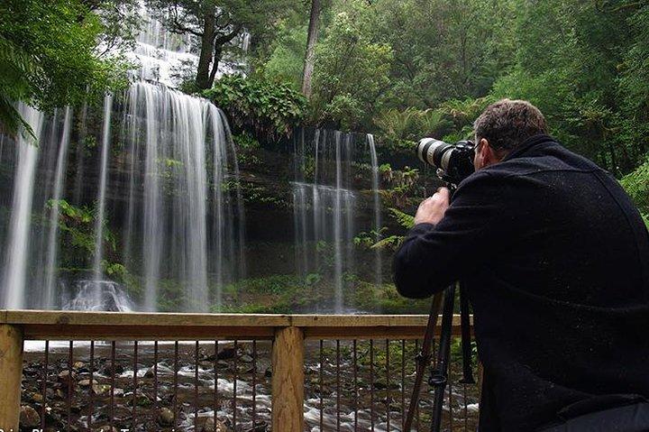Visite de Mt Field et Styx Valley
