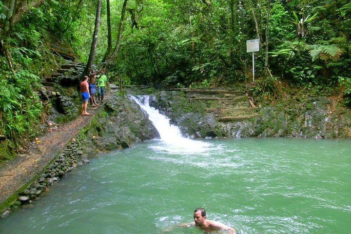 Tour privado de la naturaleza y la cascada de Suva