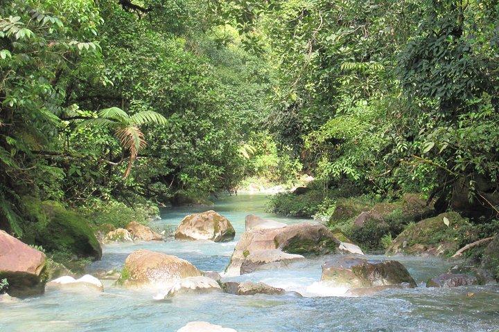 Rundturstransporttjänst till Río Celeste nationalpark från La Fortuna