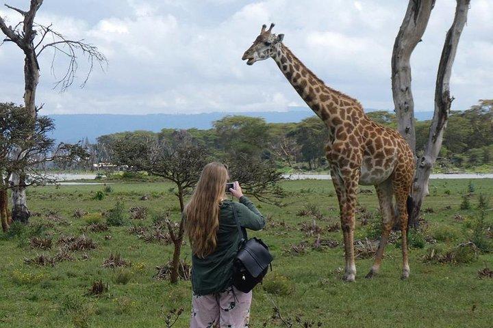 3 Tage Nairobi Nationalpark, Lake Naivasha & Lake Nakuru Nationalpark