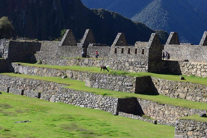 Machupicchu tour privé d'une journée