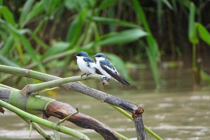 Expédition complète 5 jours 4 nuits - Amazon Wonder Expeditions