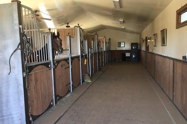 Tour a cavallo di Scottsdale e nella tenuta di campagna
