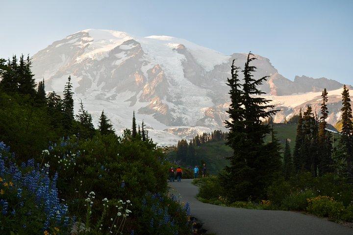 Le meilleur du parc national du Mont Rainier depuis Seattle : visite en petit groupe tout compris